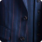  LGFG 27233 NAVY WIDE MULTI STR